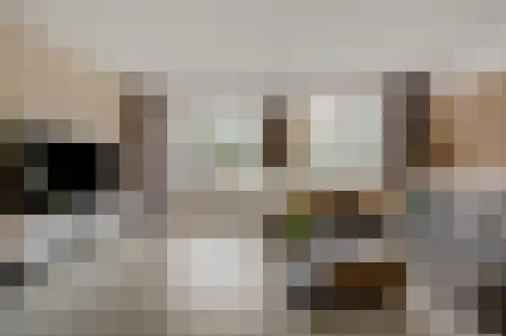 Herman van Velzenstraat 47 Silvolde thumbnail 17