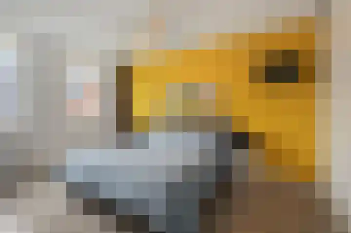 Herman van Velzenstraat 47 Silvolde thumbnail 29