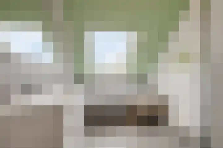Herman van Velzenstraat 47 Silvolde thumbnail 35