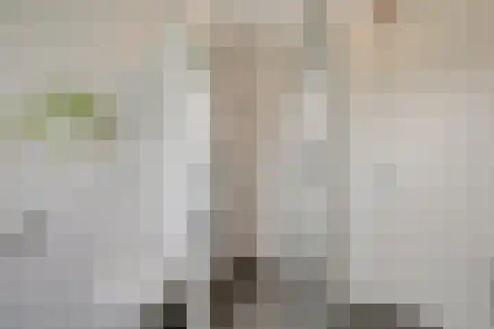 Herman van Velzenstraat 47 Silvolde thumbnail 37