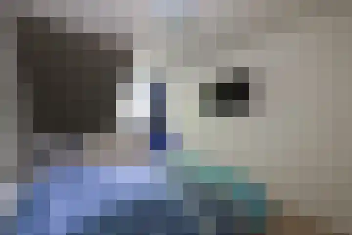 Herman van Velzenstraat 8 Silvolde thumbnail 28