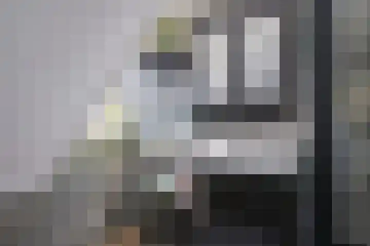 Herman van Velzenstraat 8 Silvolde thumbnail 34