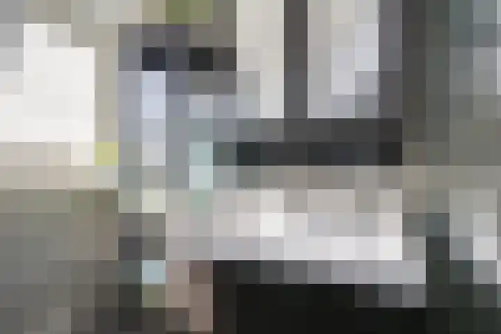 Herman van Velzenstraat 8 Silvolde thumbnail 35