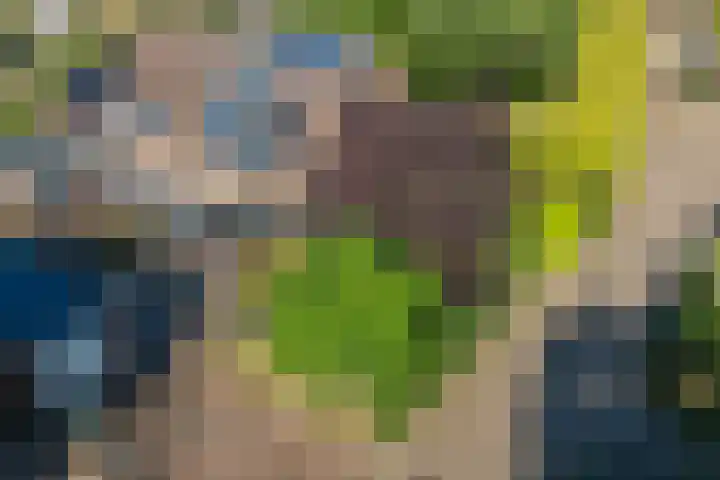 Herman van Velzenstraat 8 Silvolde thumbnail 41