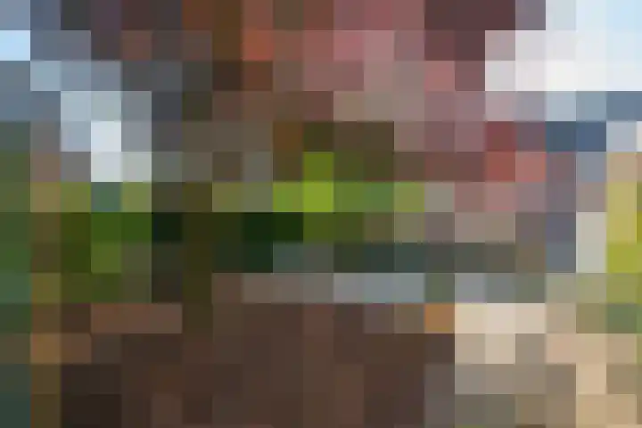 Herman van Velzenstraat 8 Silvolde thumbnail 49