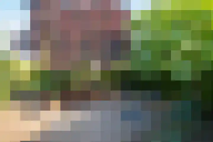Herman van Velzenstraat 8 Silvolde thumbnail 50