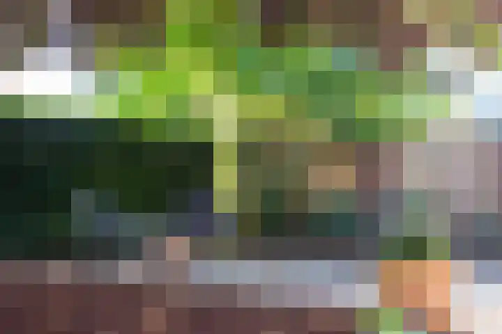 Herman van Velzenstraat 8 Silvolde thumbnail 51
