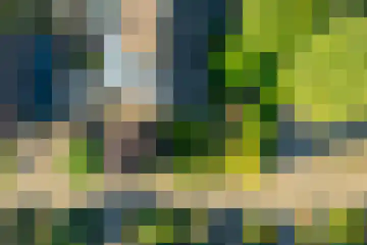 Herman van Velzenstraat 8 Silvolde thumbnail 52