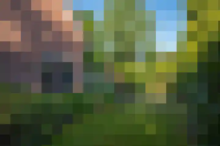 Herman van Velzenstraat 8 Silvolde thumbnail 55