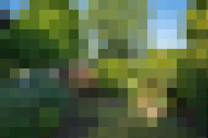 Herman van Velzenstraat 8 Silvolde thumbnail 56