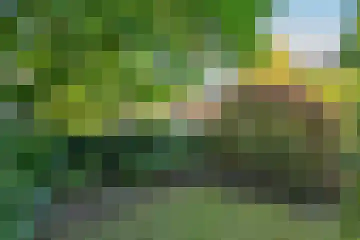 Herman van Velzenstraat 8 Silvolde thumbnail 59