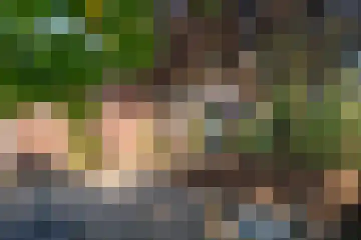 Herman van Velzenstraat 8 Silvolde thumbnail 61
