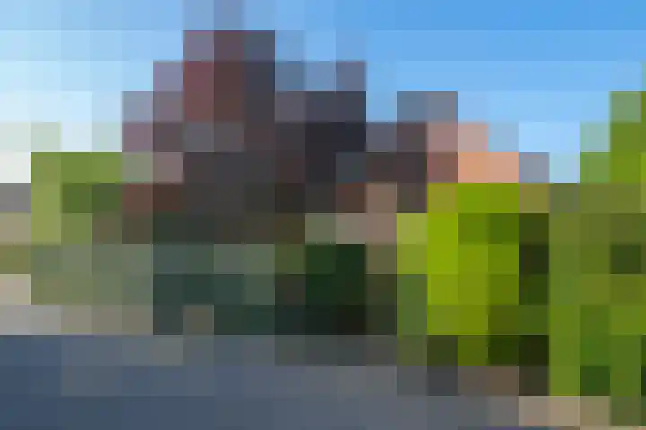 Herman van Velzenstraat 8 Silvolde thumbnail 64