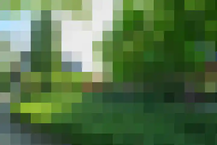 Herman van Velzenstraat 8 Silvolde thumbnail 65
