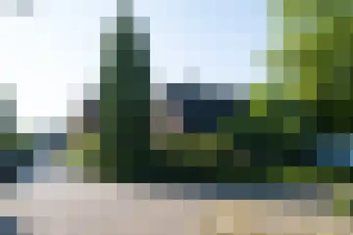 Herman van Velzenstraat 8 Silvolde thumbnail 66
