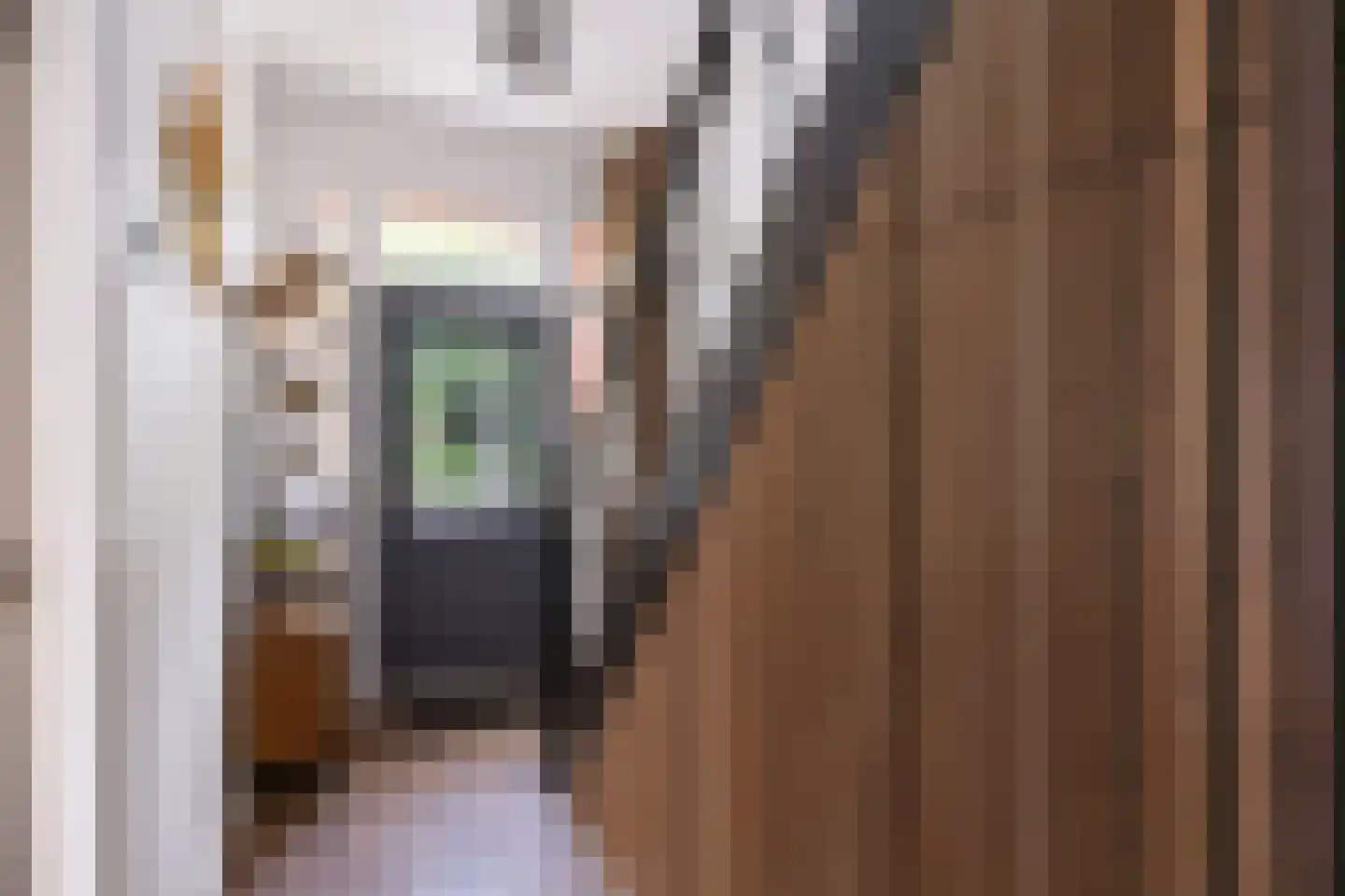 Hermanawei 26 Minnertsga thumbnail 18