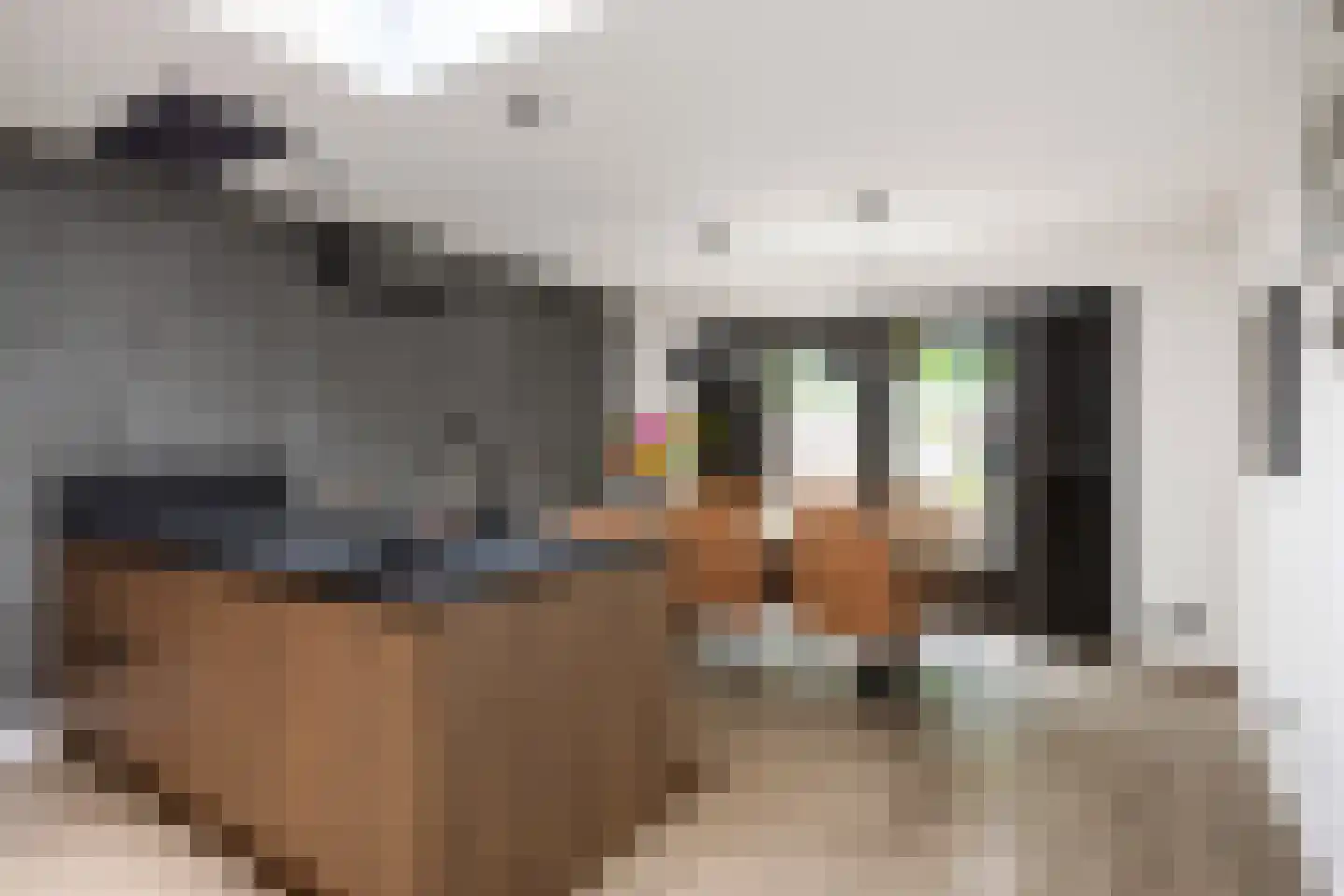 Hermanawei 26 Minnertsga thumbnail 33