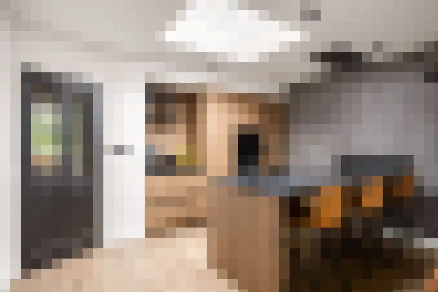 Hermanawei 26 Minnertsga thumbnail 40