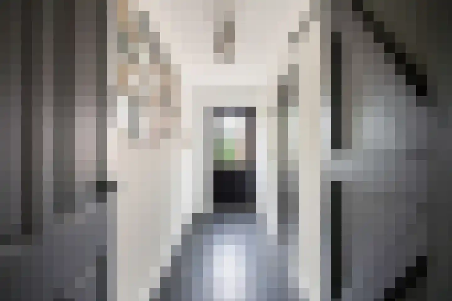 Hermanawei 26 Minnertsga thumbnail 41