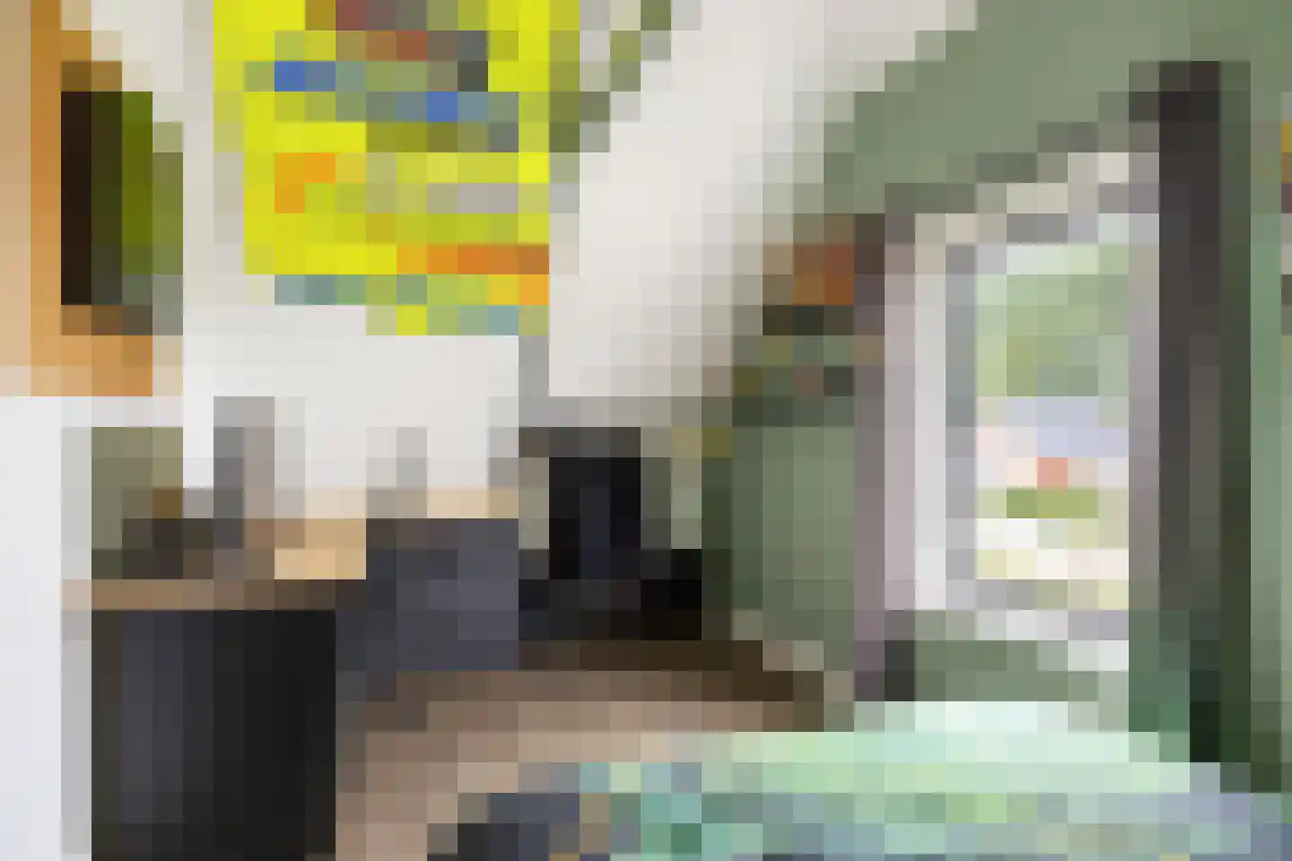 Hermanawei 26 Minnertsga thumbnail 57