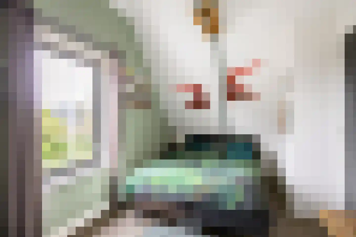Hermanawei 26 Minnertsga thumbnail 58