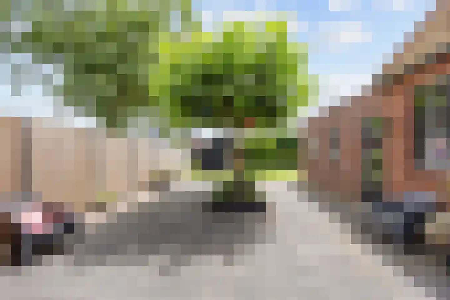Hermanawei 26 Minnertsga thumbnail 60