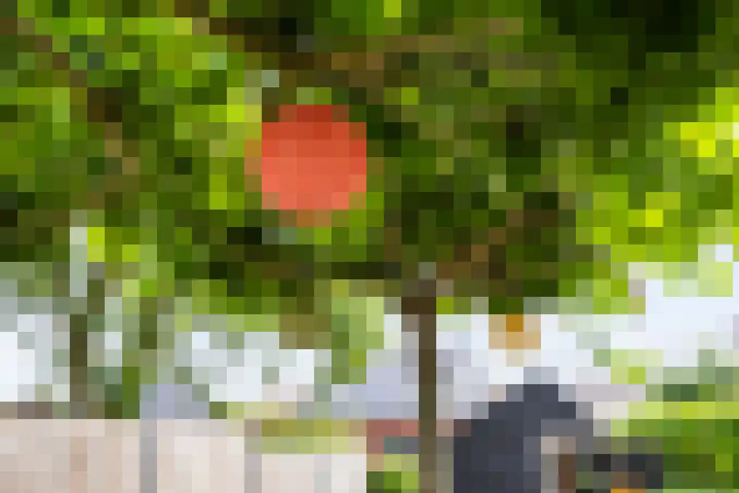 Hermanawei 26 Minnertsga thumbnail 62
