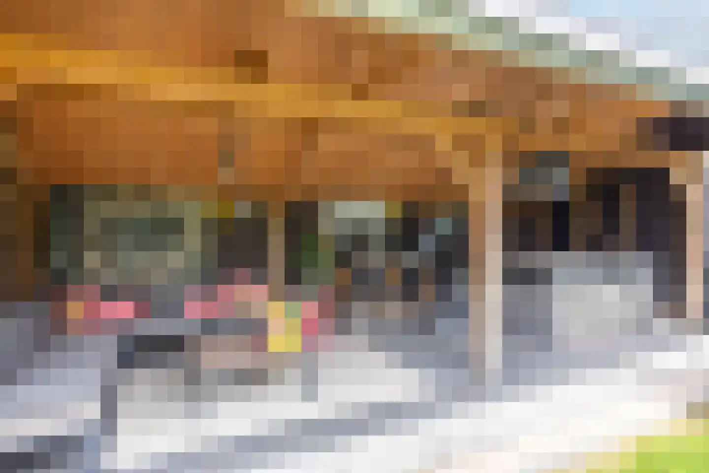 Hermanawei 26 Minnertsga thumbnail 67