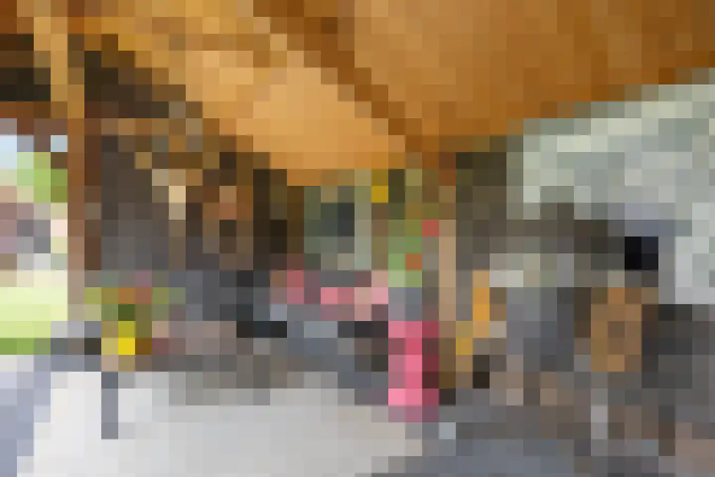 Hermanawei 26 Minnertsga thumbnail 68