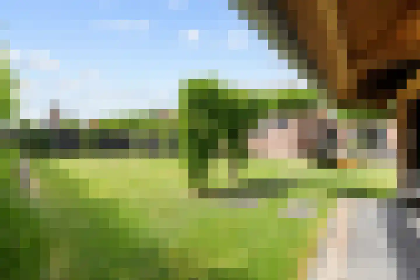 Hermanawei 26 Minnertsga thumbnail 69