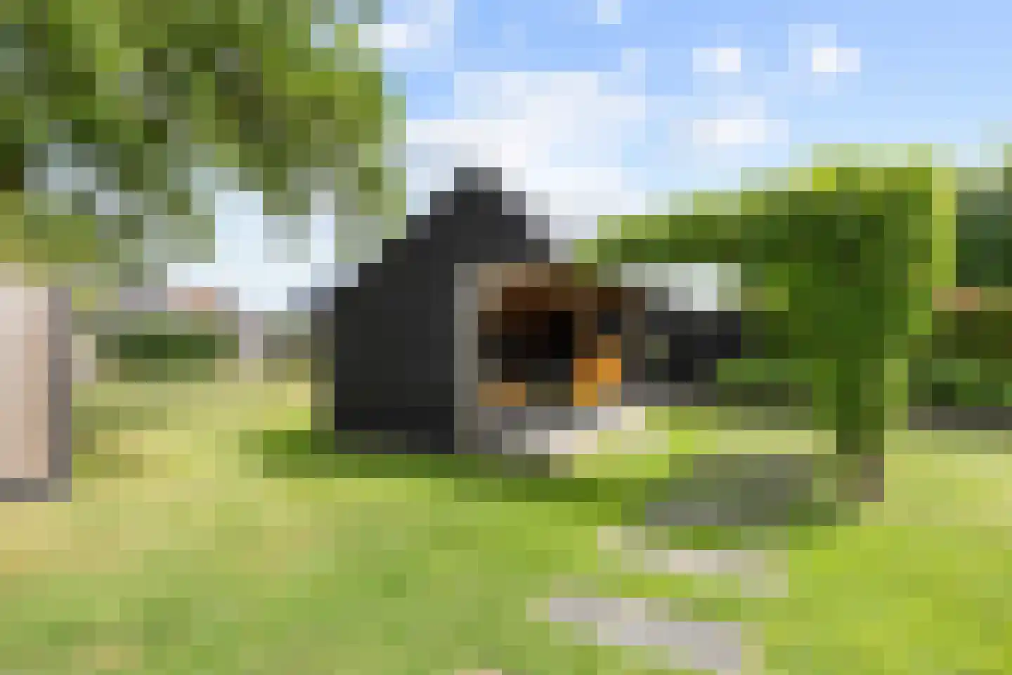Hermanawei 26 Minnertsga thumbnail 8