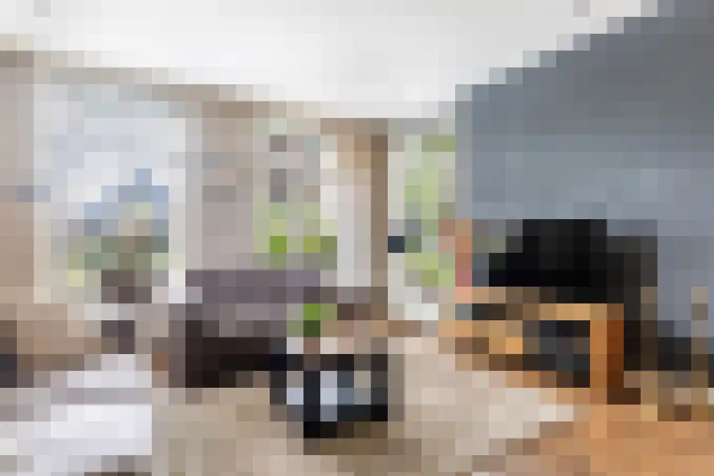 Hermanawei 31 Minnertsga thumbnail 11