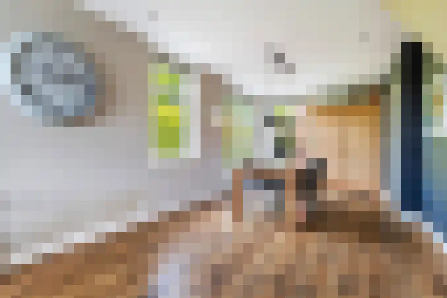 Hermanawei 31 Minnertsga thumbnail 13