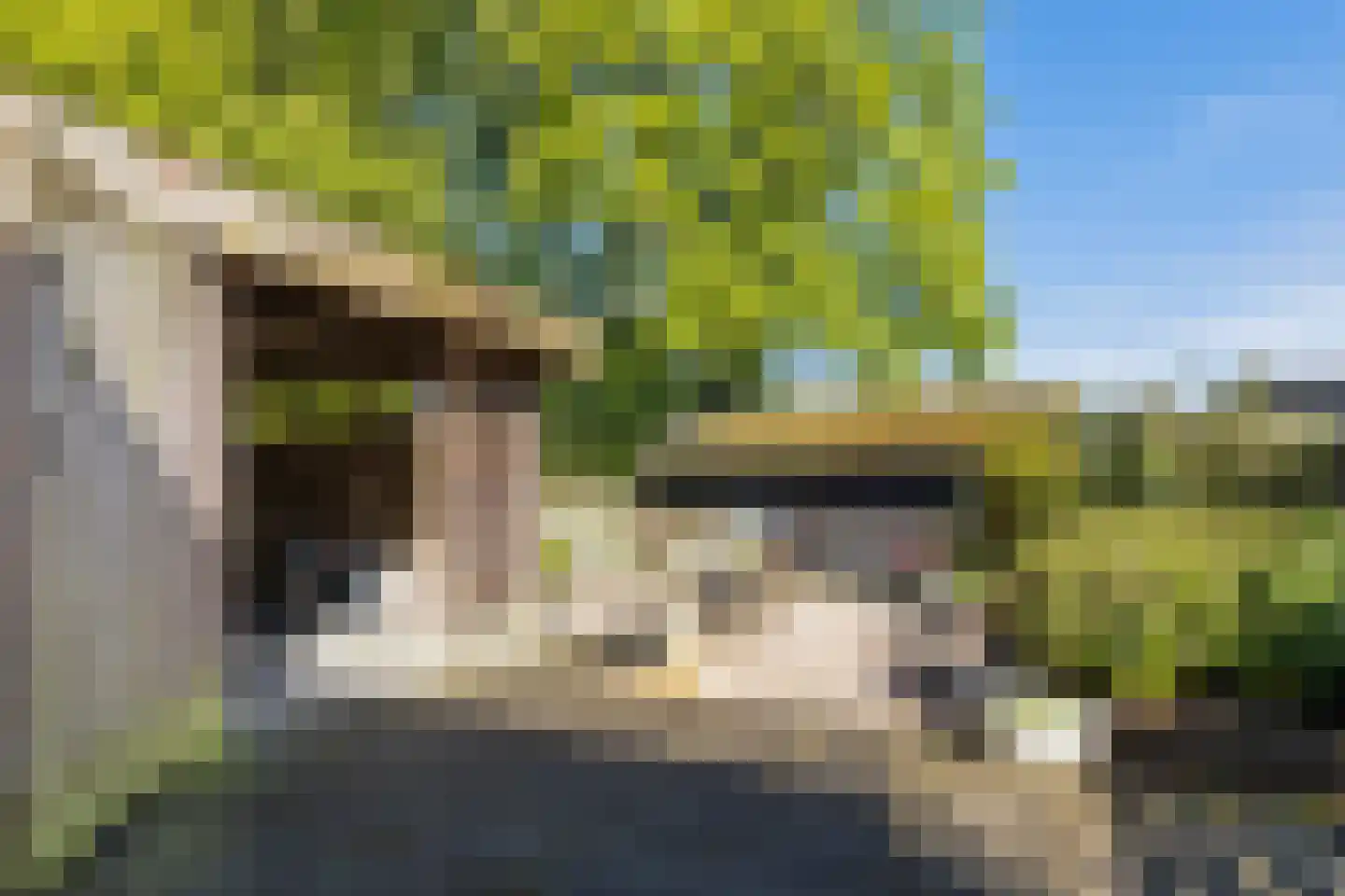Hermanawei 31 Minnertsga thumbnail 39