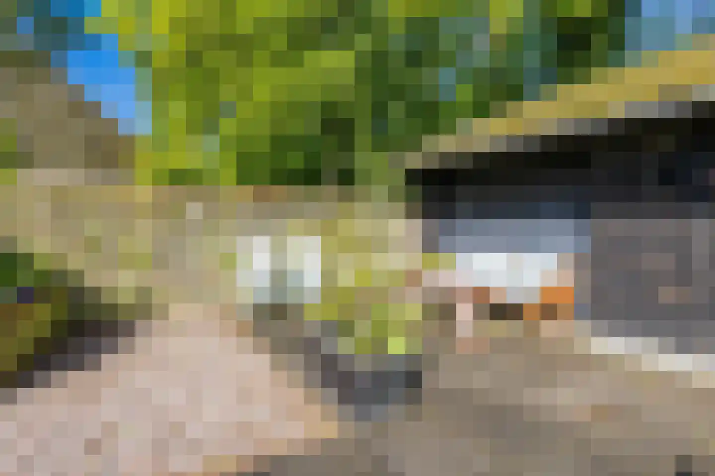 Hermanawei 31 Minnertsga thumbnail 41