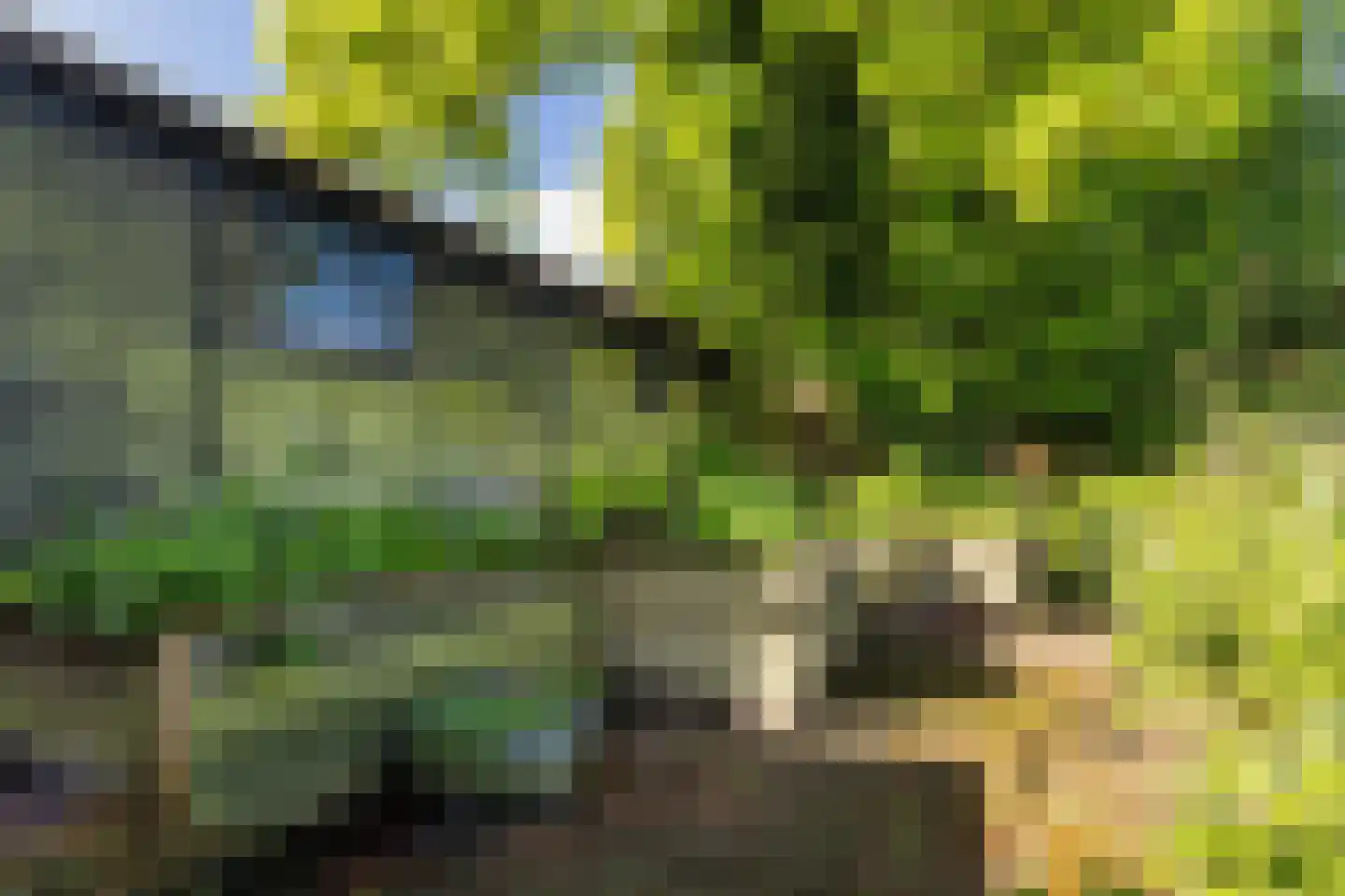 Hermanawei 31 Minnertsga thumbnail 42