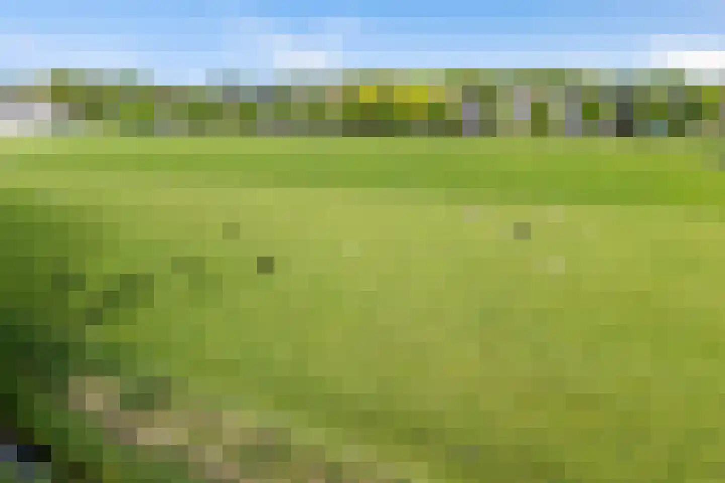 Hermanawei 31 Minnertsga thumbnail 44
