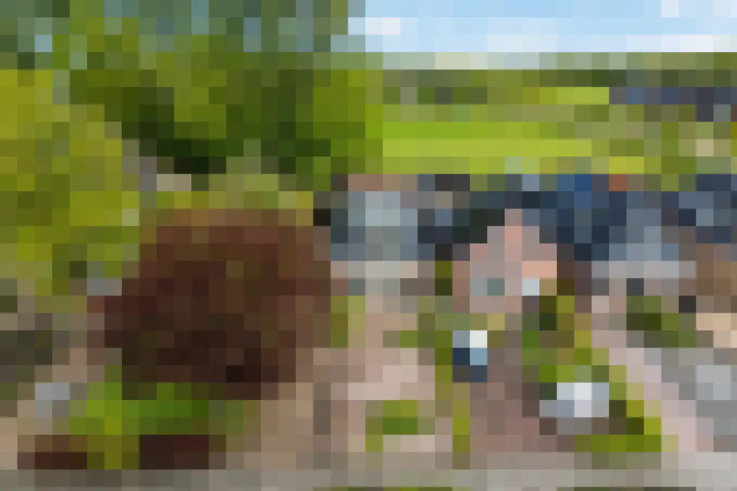 Hermanawei 31 Minnertsga thumbnail 45