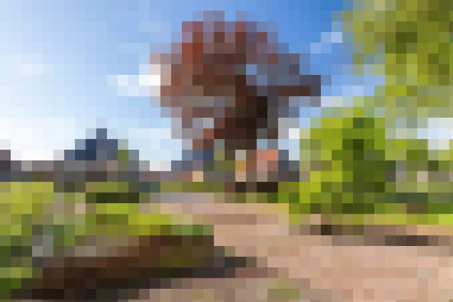 Hermanawei 31 Minnertsga thumbnail 47