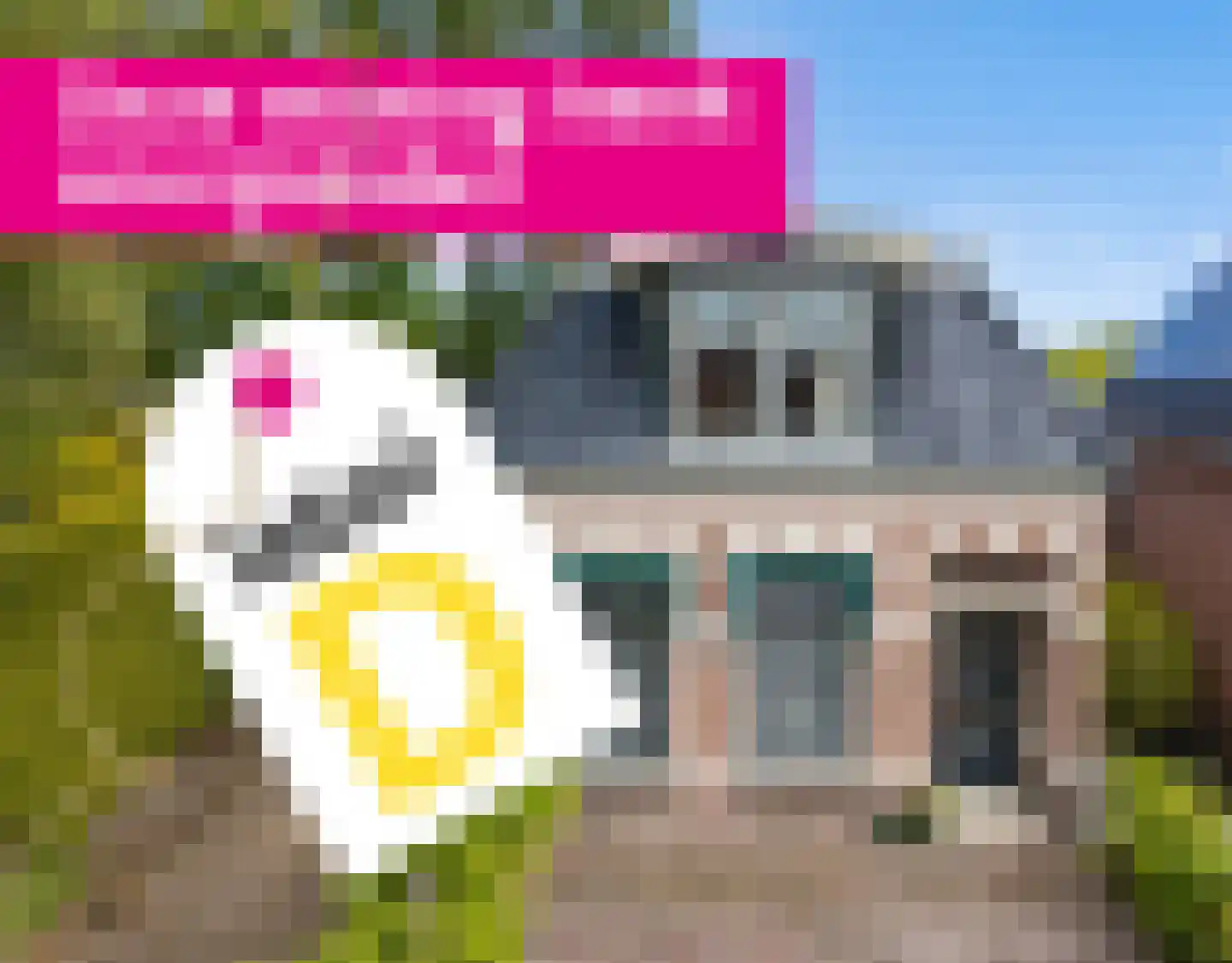 Hermanawei 31 Minnertsga thumbnail 49