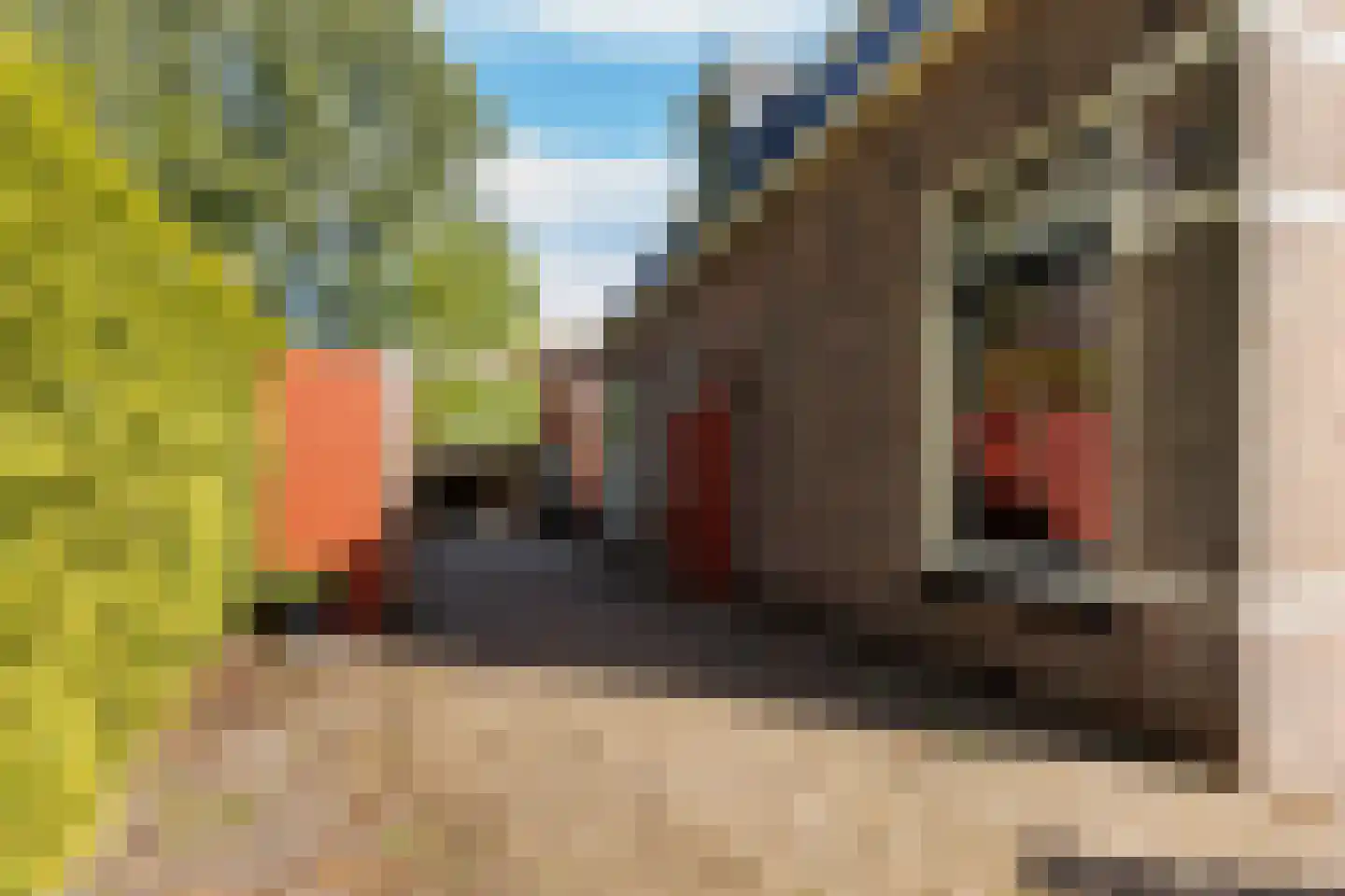 Hermanawei 31 Minnertsga thumbnail 6