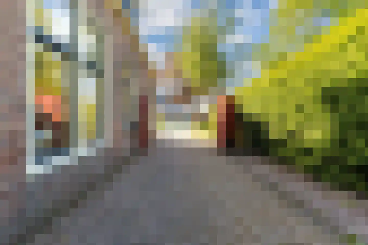 Hermanawei 31 Minnertsga thumbnail 7