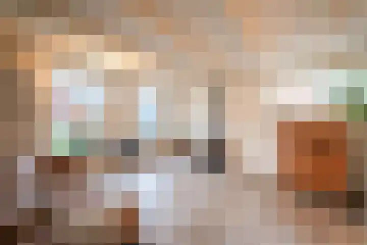 Hermanawei 37 Minnertsga thumbnail 20