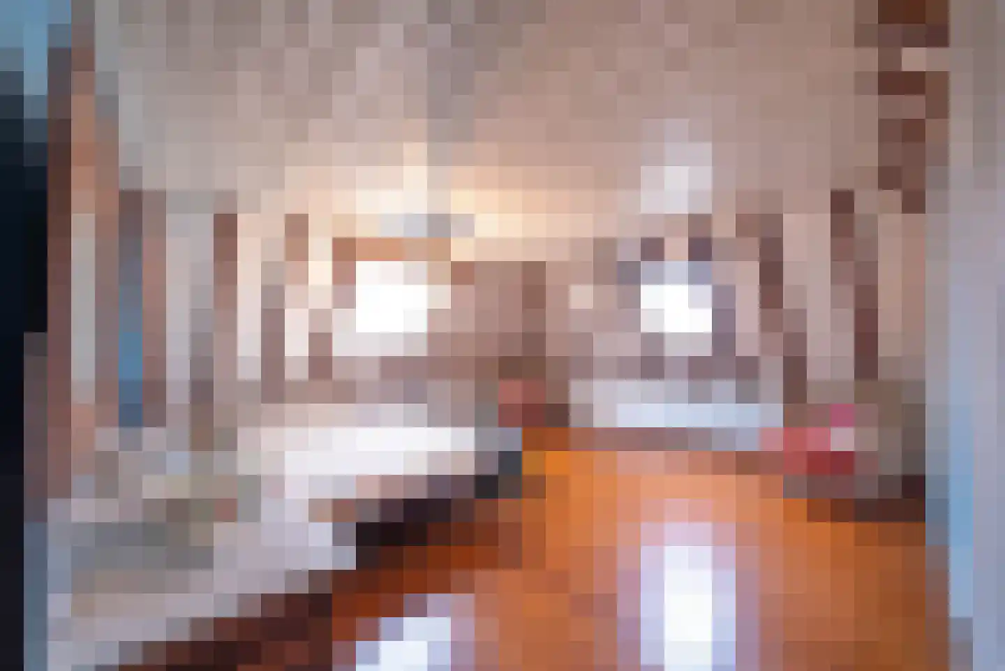 Hermanawei 37 Minnertsga thumbnail 33