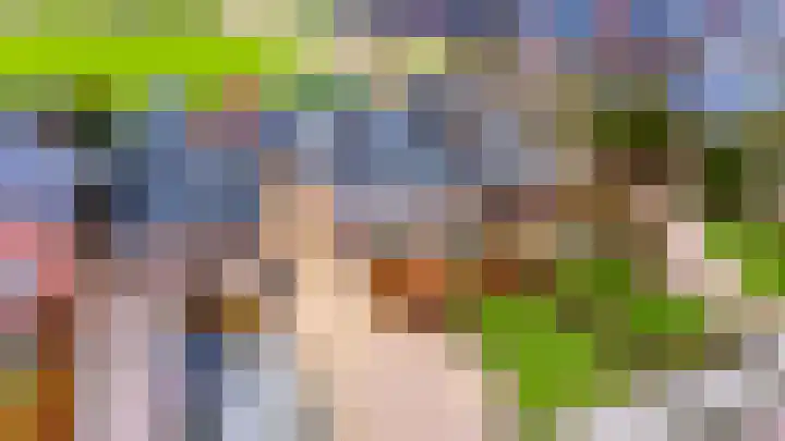 Hermanawei 37 Minnertsga thumbnail 4