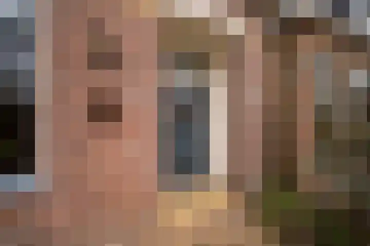 Hermanawei 37 Minnertsga thumbnail 6