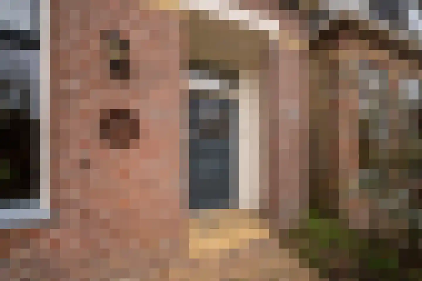 Hermanawei 37 Minnertsga thumbnail 6
