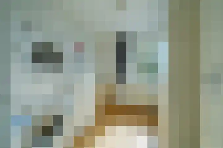 Hermannistraat 4 Veldhoven thumbnail 22