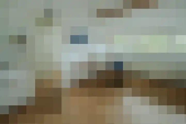 Hermannistraat 4 Veldhoven thumbnail 24