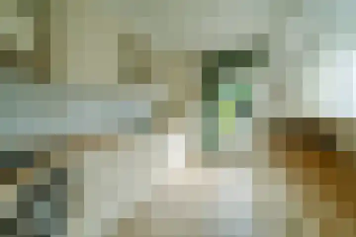 Hermannistraat 4 Veldhoven thumbnail 6